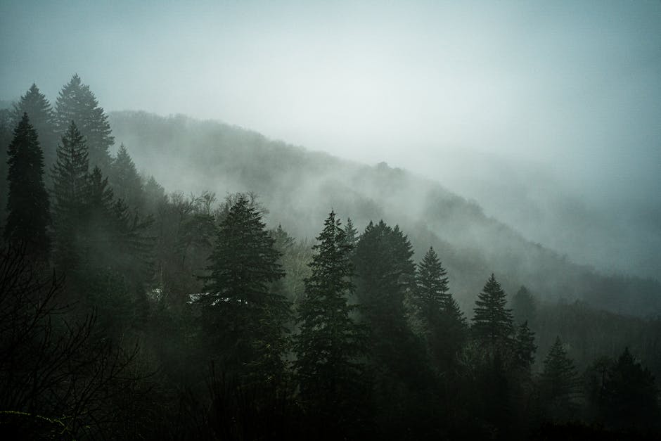 Image description: A mysterious landscape with hidden figures orchestrating a journey.